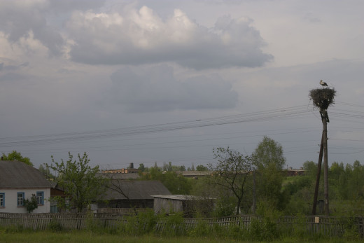 435174 (a): :3076x2052